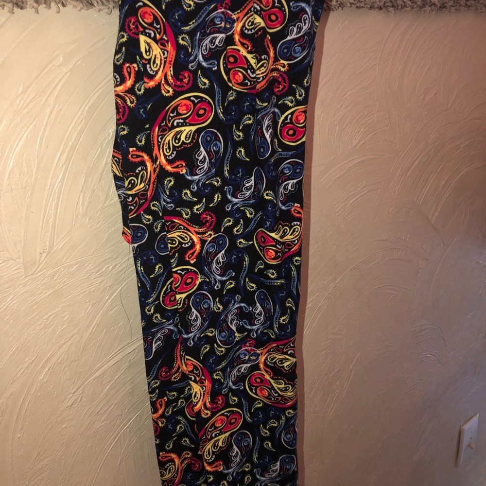 Rainbow Paisley
